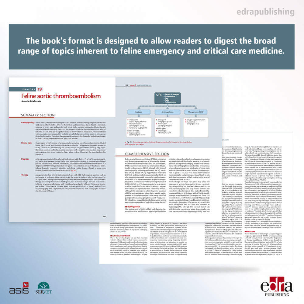 Feline Emergency & Critical Care