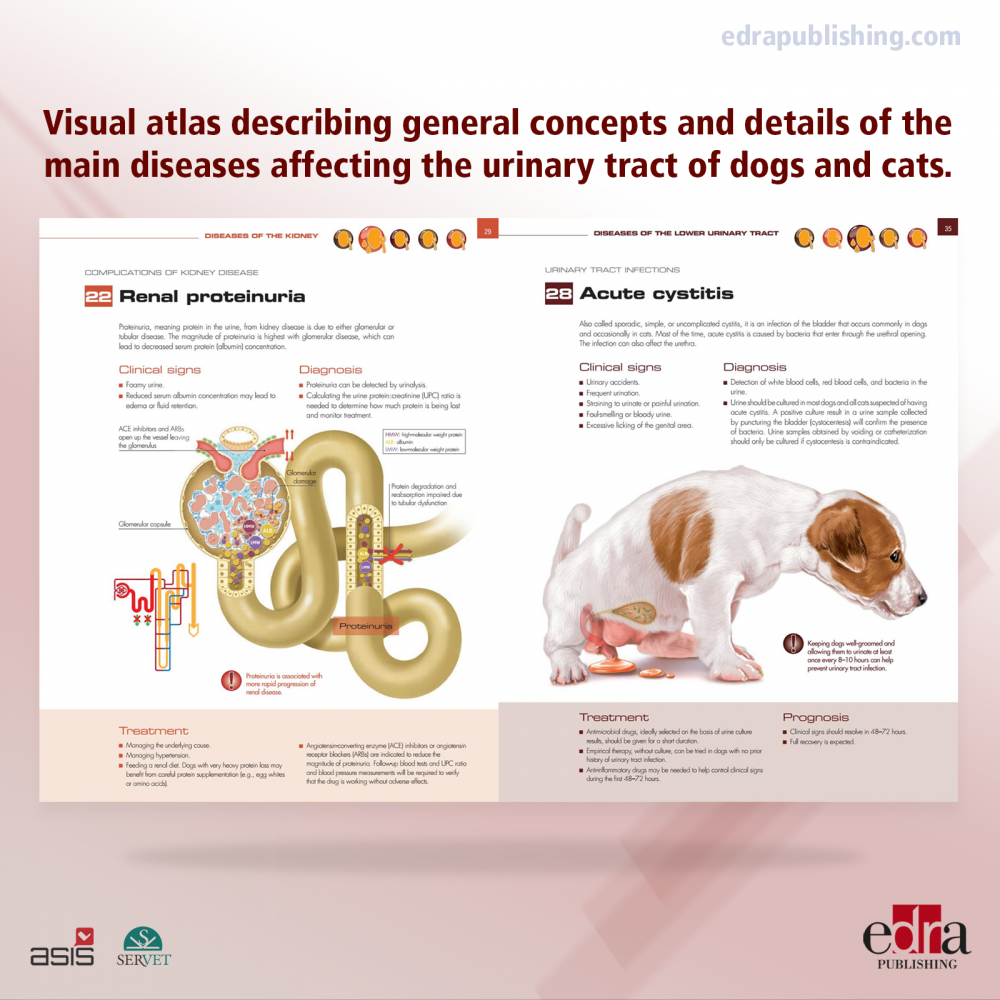 Pet Owner Educational Atlas. Nephrology and Urology