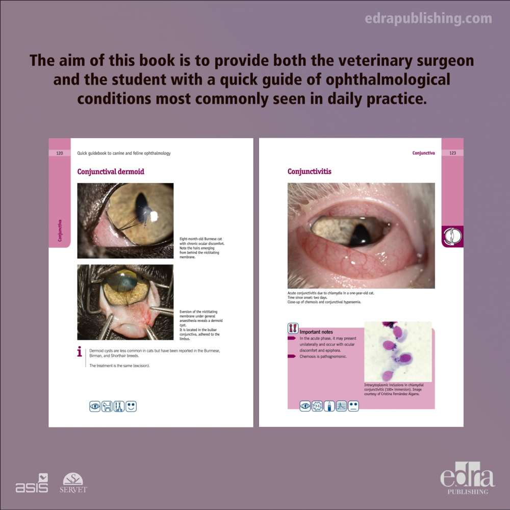 Quick guidebook to canine and feline ophthalmology - 2nd edition