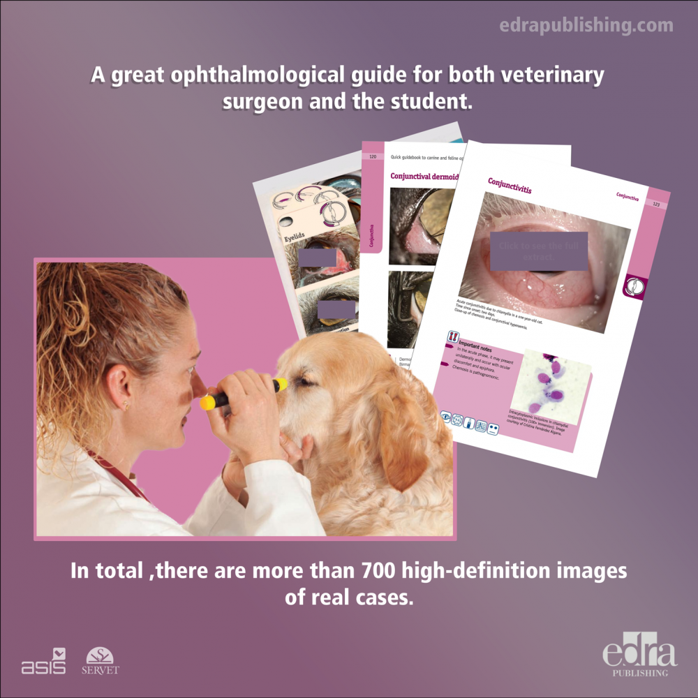 Quick guidebook to canine and feline ophthalmology - 2nd edition